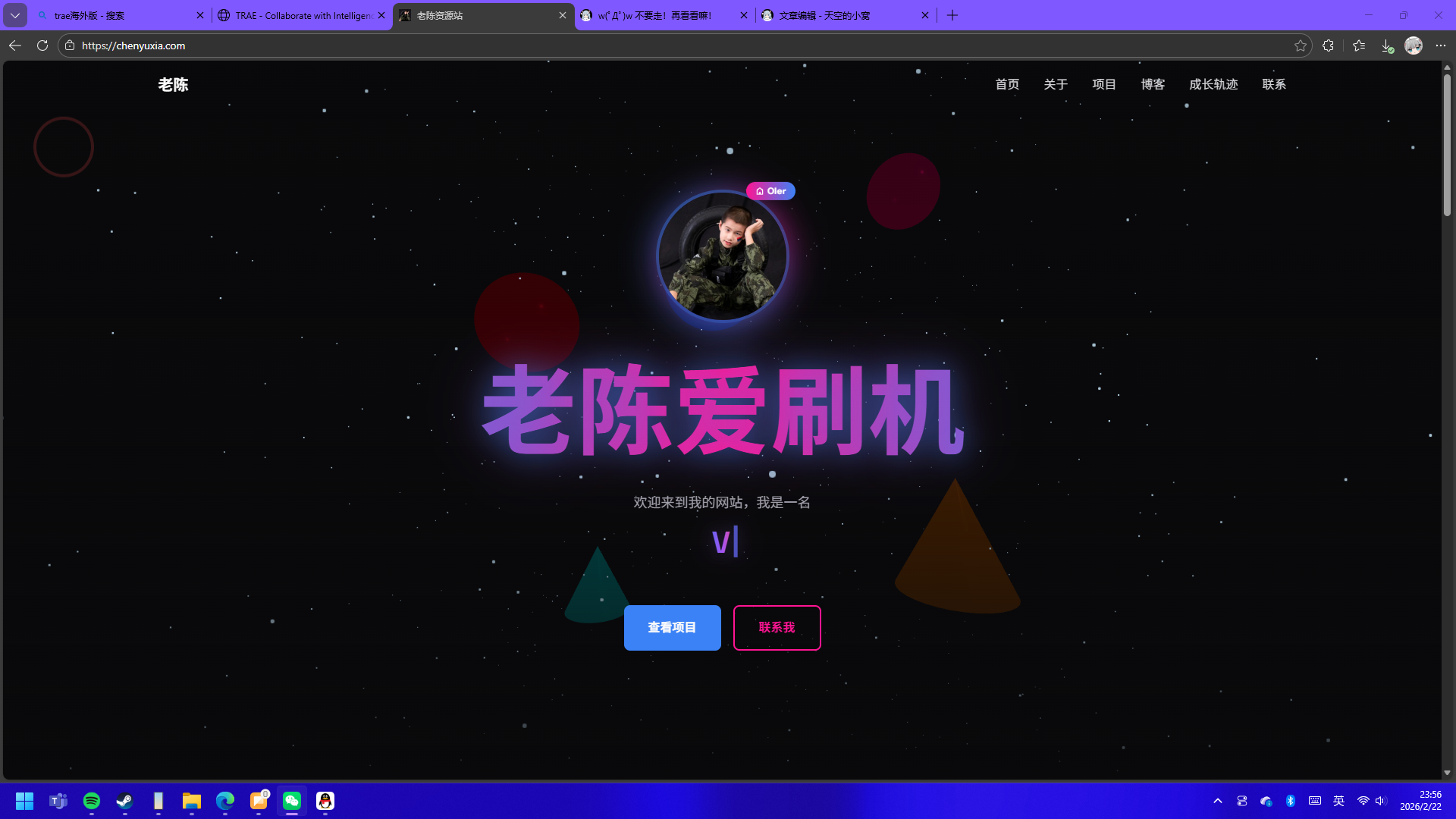去你妈的VibeCoder!!!