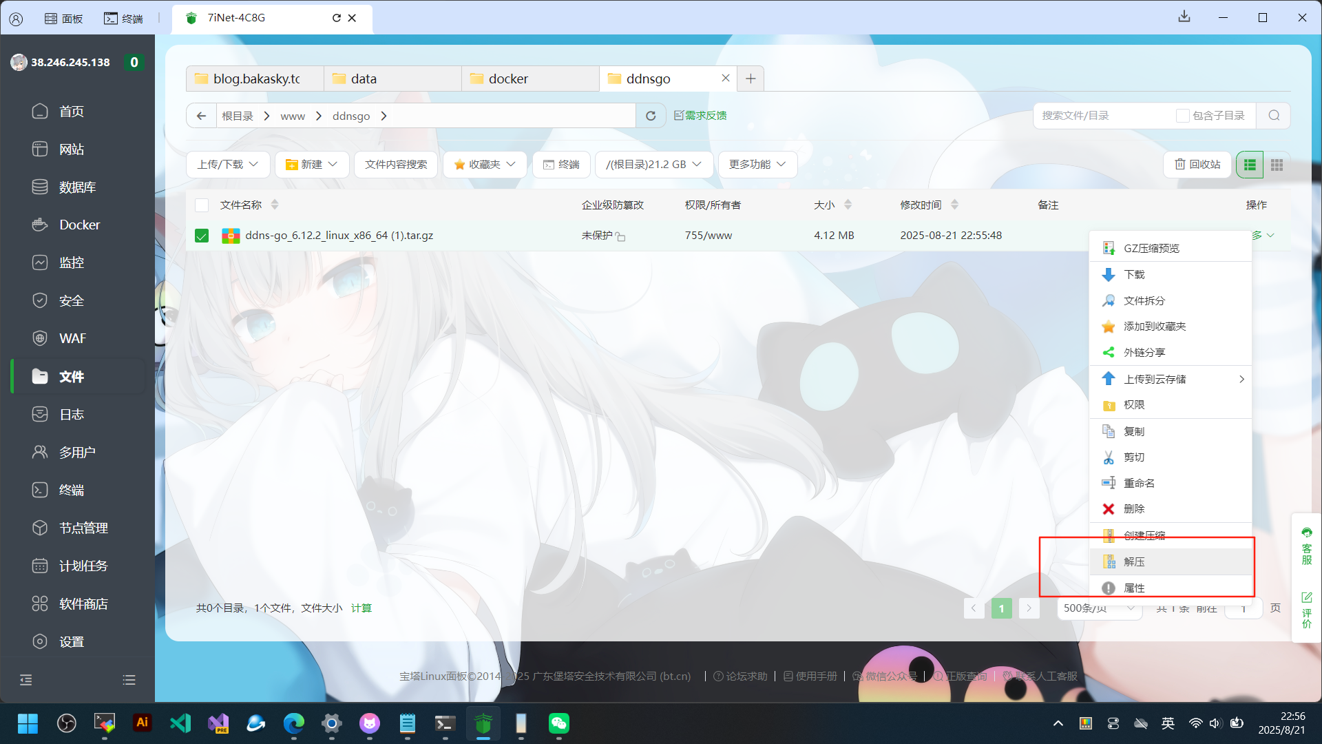 多平台安装DDNS-GO（路由器开启端口转发/DMZ）